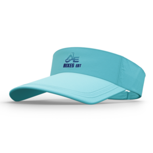 Sun Visor