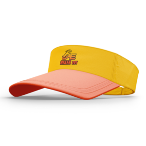 Sun Visor